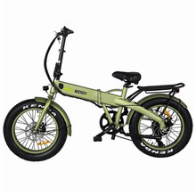 Ce Certified Snow Fat Tire Electric Bicycle